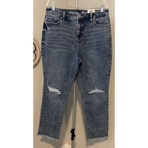 Women's Style & Co Womens Curvy Girlfriend Mid Rise Jeans Sz 12